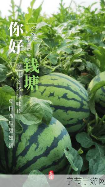 人人吃瓜网,朝阳群众聚集地:“人人吃瓜网:朝阳群众齐聚,共享热点八卦新天地”