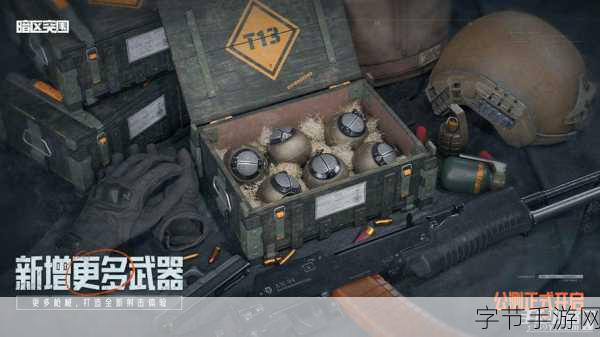 暗区突围追捕行动，刺激与策略的碰撞🎮