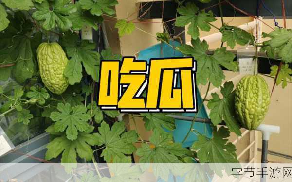 51吃瓜线路一:“探索51吃瓜线路一:畅游美食与文化的奇妙之旅”