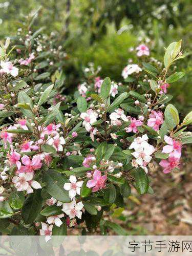 捻压花核：如何通过拓展捻压技术提升花核的艺术表现力与市场价值