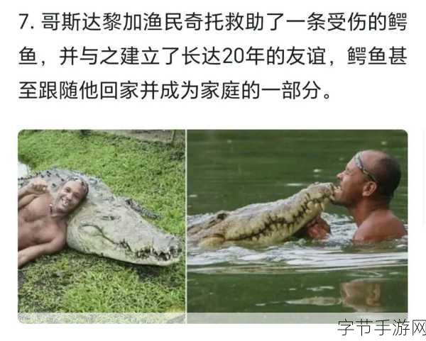 黑料155.pto：探索黑料155.pto的神秘世界与背后故事