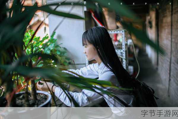 独占1.v1小花：独占1.v1小花：绽放于心灵深处的唯美时光