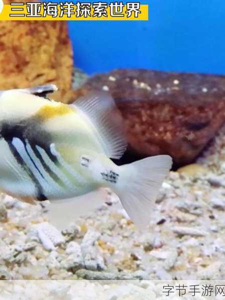 AtlanticOcean的作品：探索大西洋深处的神秘与奇迹：一场海洋之旅