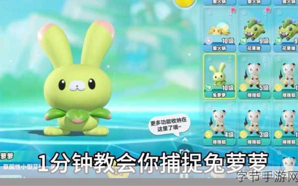 蛋仔派对，兔萝萝技能抉择秘籍🎮