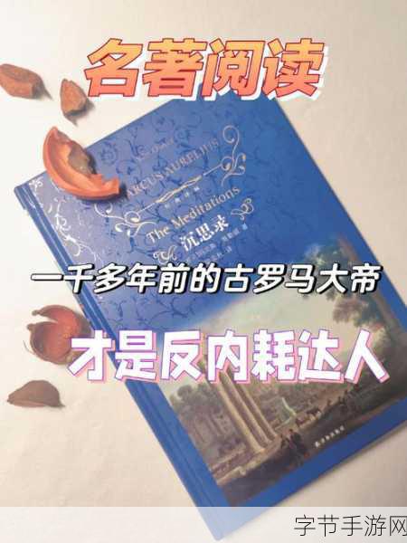 安东尼马库斯：“安东尼·马库斯：探索古罗马的哲学与领导智慧”