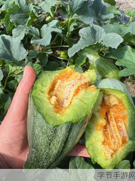 51热门大瓜今日大瓜：“今日热闻：51热门大瓜揭秘，背后故事令人瞩目！”