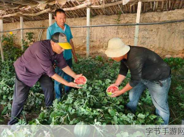 农民一二三区：推动农业现代化，助力农民增收致富新征程