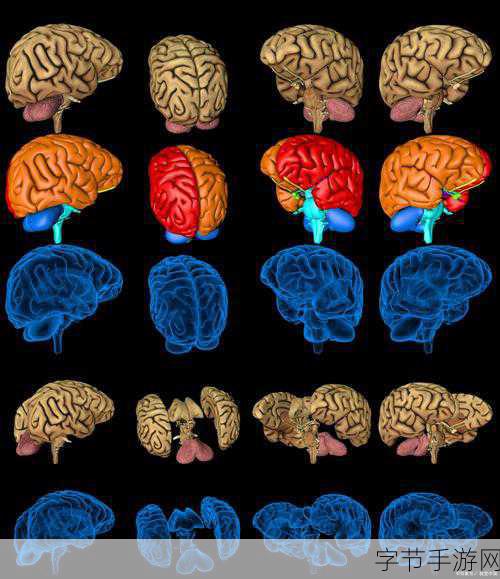 最新ZOOZOON:探索ZOOZOON:解密未来动物互动的无限可能性