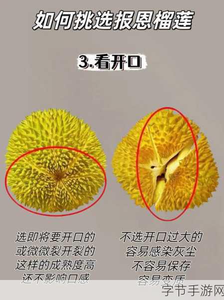 开元榴莲视频看完让你流连忘返游戏：沉浸在榴莲视频世界，尽享无尽乐趣与美好时光