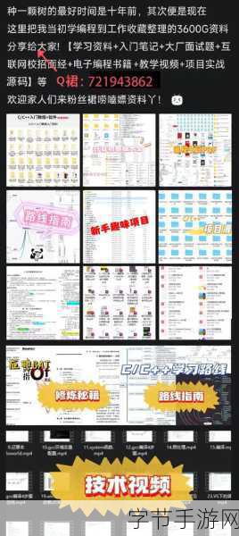 100种禁用b站免费：1. 如何避免在B站上遭遇版权问题的完整指南