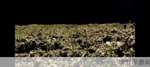 新在线天堂：探索新在线天堂：数字世界中的无限可能与机遇