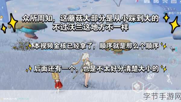 幻塔洞穴蘑菇,揭秘神秘生长之谜的攻略指南