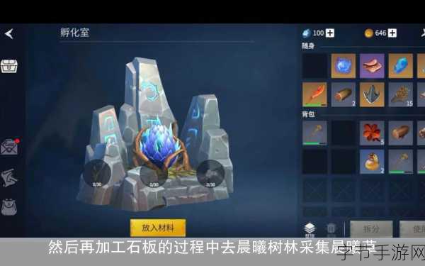 冰原守卫者,解锁孵化室升级秘籍,打造顶级培育基地