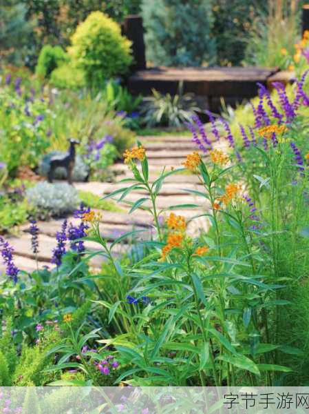 男朋友想看我的小花园该怎么办：如何让男朋友更好地欣赏我的小花园风景
