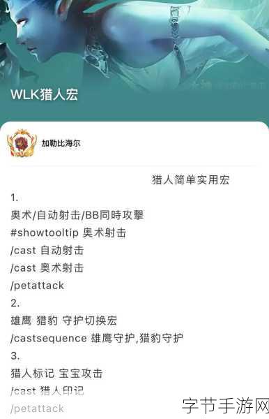 猎人开怪一键标记宏：拓展猎人开怪一键标记宏的实用技巧与应用