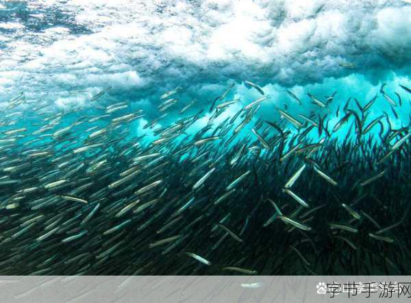 深海巨腹鱼群：探索深海巨腹鱼群的神秘生态与生存策略