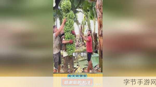 1024香蕉视频:探索1024香蕉视频:带你进入全新的视听盛宴