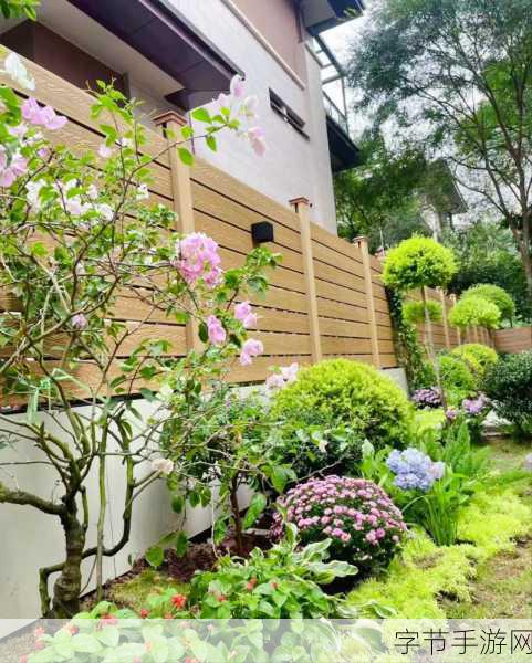 怎么亲小花园的技巧：打造迷你小花园的实用技巧与创意灵感分享