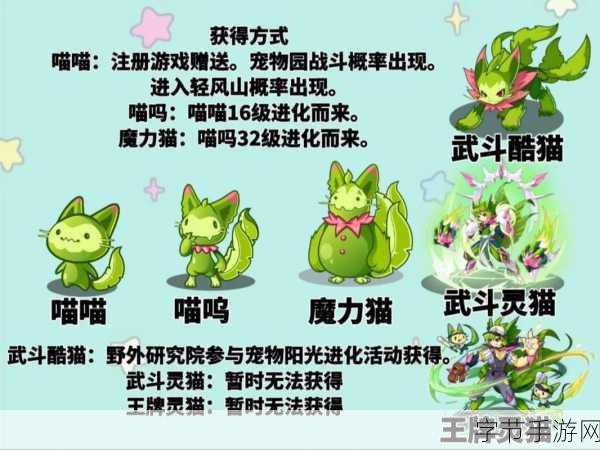 洛克王国，解锁武斗酷猫的全面攻略