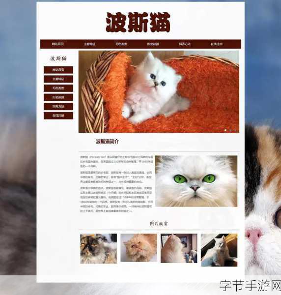 成品网站入口网页版怎样免费：免费拓展成品网站入口的方法，轻松打造个性化网页标题。