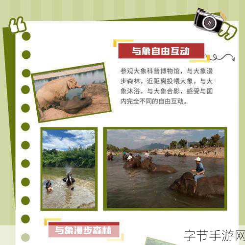 大象伊甸园一二三四五区别:探秘大象伊甸园:一二三四五的独特魅力与区别