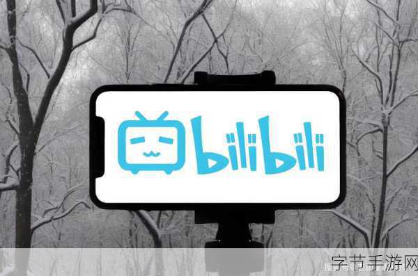 海外直播b站：探索海外直播新平台，B站助力全球内容分享与创作