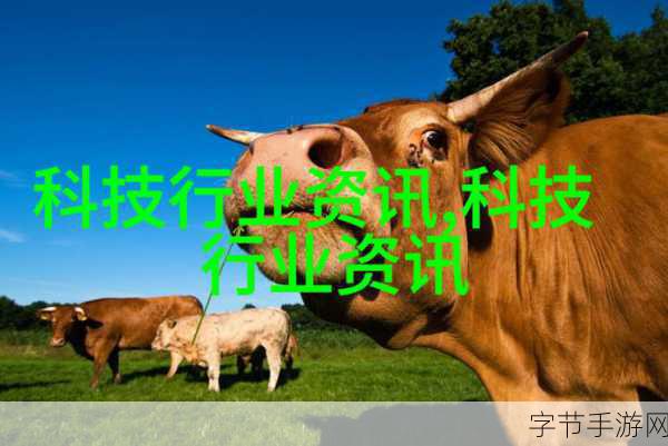 十大黄台禁用app软件安全下载:安全下载十大黄台禁用APP软件,保护你的隐私与数据!