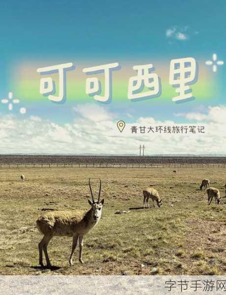 gogogo大但人文艺术与可可西里大但人文艺术的比较？：“探讨拓展gogogo与可可西里的人文艺术差异”