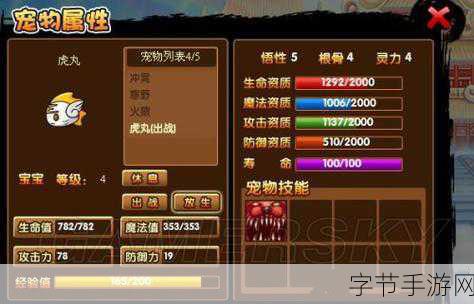 造梦西游3宠物装备品质提升全攻略