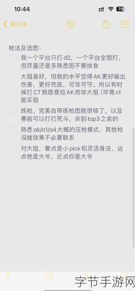 CSGO暴躁老姐的CSGO心得分享：暴躁老姐的CSGO心得：提升技巧与游戏心态全攻略