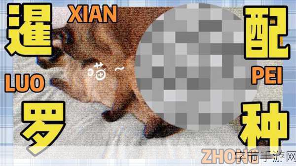 打扑克软件女的跟男的想生猴子：打扑克软件中男女玩家共同追求生猴子的奇妙旅程