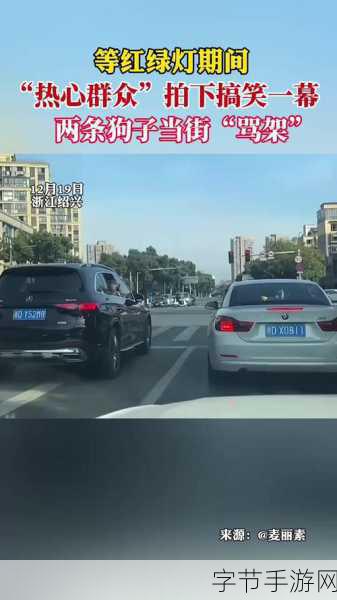 今日大瓜-热心的群众吃瓜：热心群众积极围观，今日大瓜不断刷新热度！