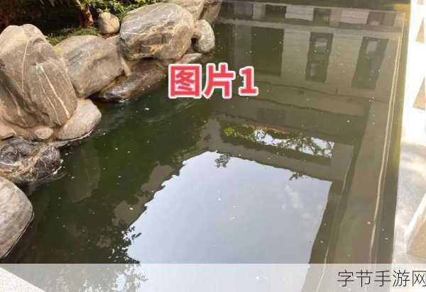 地心护核者鱼池：“深海守护者：探索地心鱼池的神秘世界”