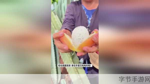 男生女生在床上拔萝卜不盖被子：男女在床上嬉闹拔萝卜，不盖被子的趣味时光