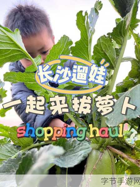 拔萝卜不盖被子：拔萝卜的乐趣：冬日不盖被子的温暖体验