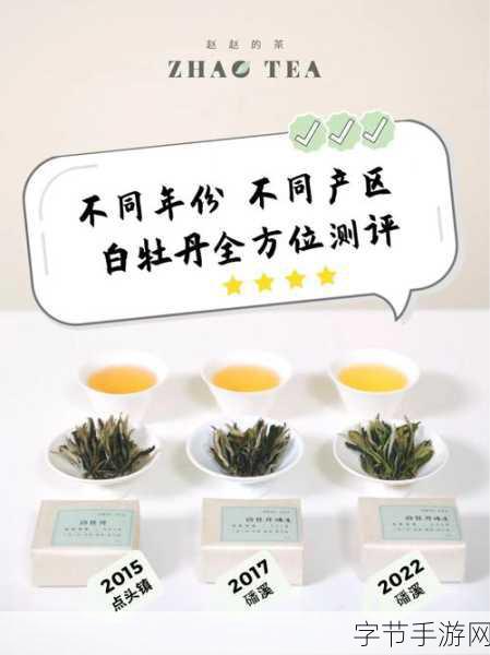 一产区与二产区的产品区别:一产区与二产区产品特征及市场定位的深入对比分析