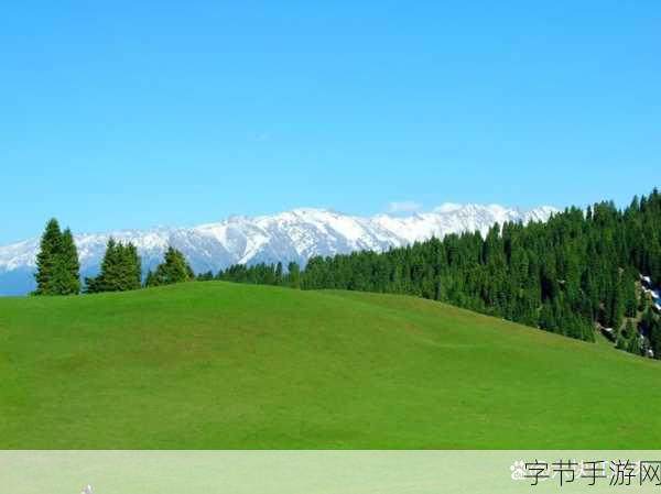 蜜芽忘忧草:蜜芽忘忧草:探索心灵宁静与自然共鸣的旅程