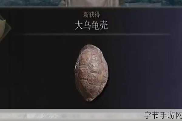 艾尔登法环骑马秘籍大公开😜