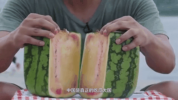 今日吃瓜每日更新免费:今日吃瓜:最新八卦动态每日实时更新,让你不再错过