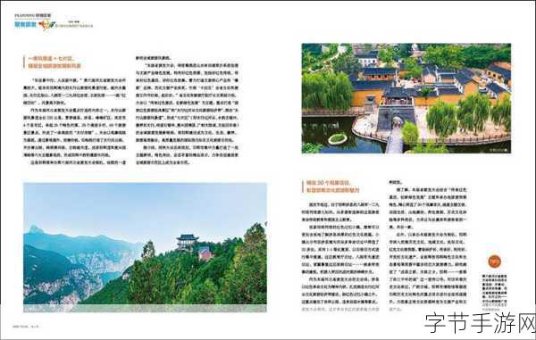 国家精品999：国家精品999：传承与创新的完美结合之旅