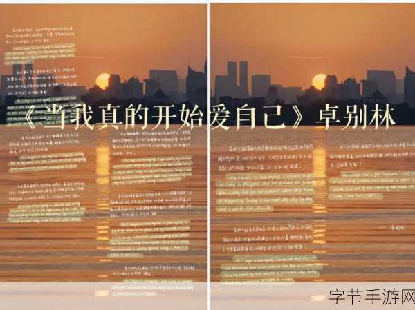 一区中文字幕：当爱遇上挑战：勇敢追寻真实自我的故事