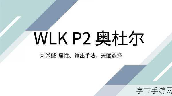 WLK盗贼练级新手指南：全面解析WLK盗贼练级技巧与新手指南