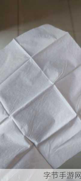 18 岁带纸巾进入3秒后开始:在18岁时带纸巾的秘密:生活中的小细节与温暖瞬间