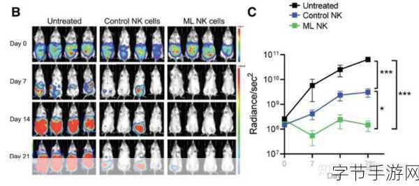 缩小放在nK里：“拓展与缩小：在nK空间中探索新视角”