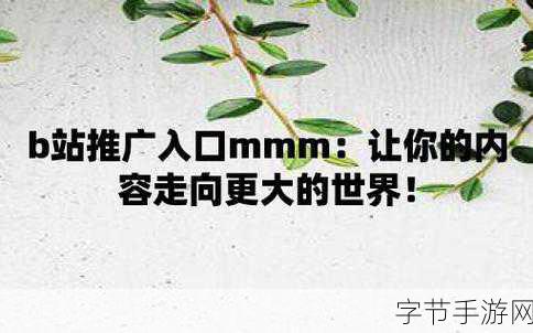 b站推广平台mmm：全面解析B站推广平台MMM，助力内容创作者快速成长