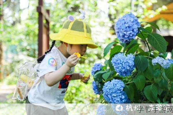 海角社区披风少年的内容分类:拓展海角社区披风少年:探索青春与梦想交汇的故事之旅