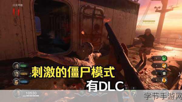 使命召唤15没有单人模式吗：《使命召唤15》未设单人模式，专注多人对战体验。