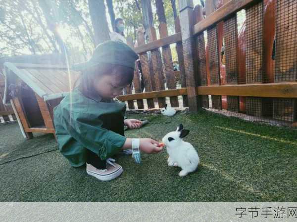 两只小兔子在衬衫晃来晃去：两只小兔子在衬衫里欢快舞动的奇妙冒险