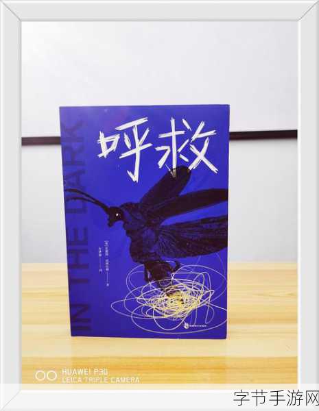 by迷路回家地址:寻找回家的路径:迷路时的心灵之旅与归属感