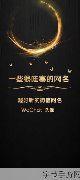 8x8x.io最新地域网名是啥ip查询:拓展8x8x.io最新地域网名及其IP查询方法解析